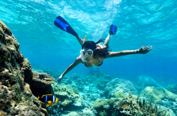 snorkeling gear for beginners