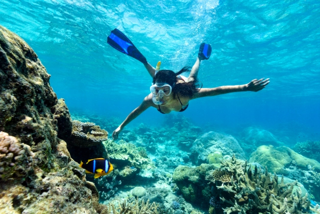 family-friendly snorkeling