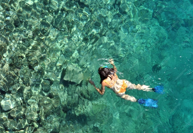 snorkeling gear for beginners