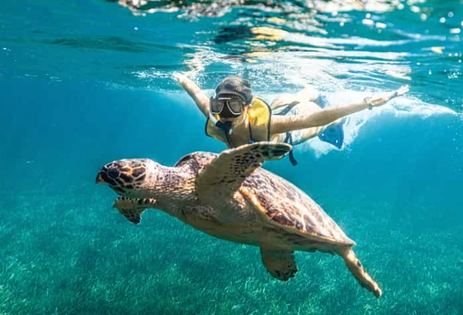 non-swimmer snorkeling