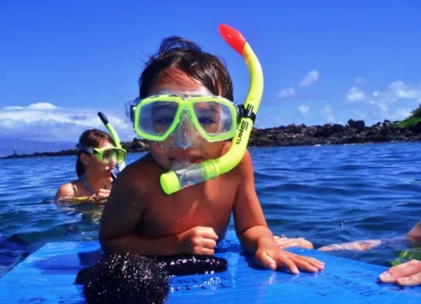 snorkeling for beginners
