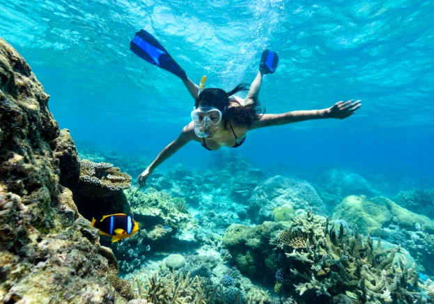 Warm Water Snorkeling Destinations