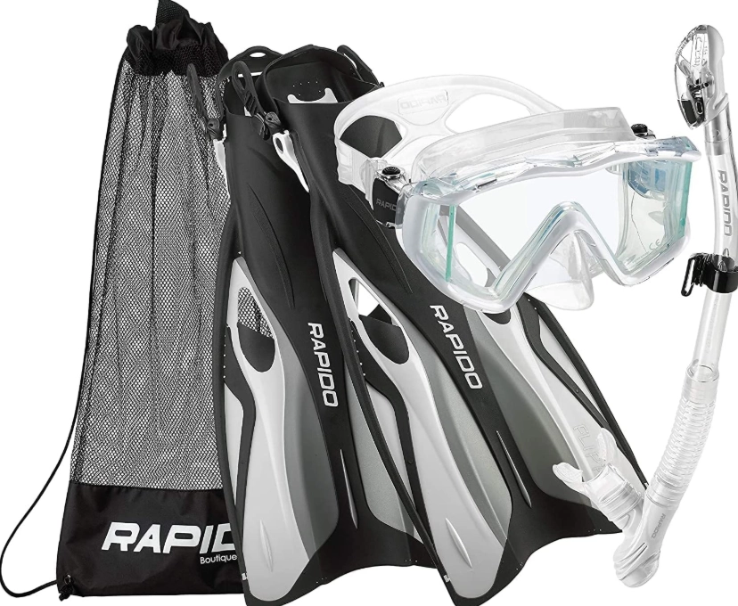 snorkeling for wildlife observation snorkeling for wildlife observation