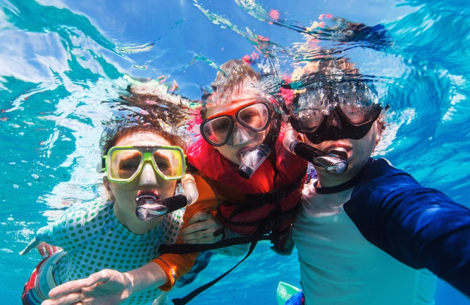 Learn How to Snorkel