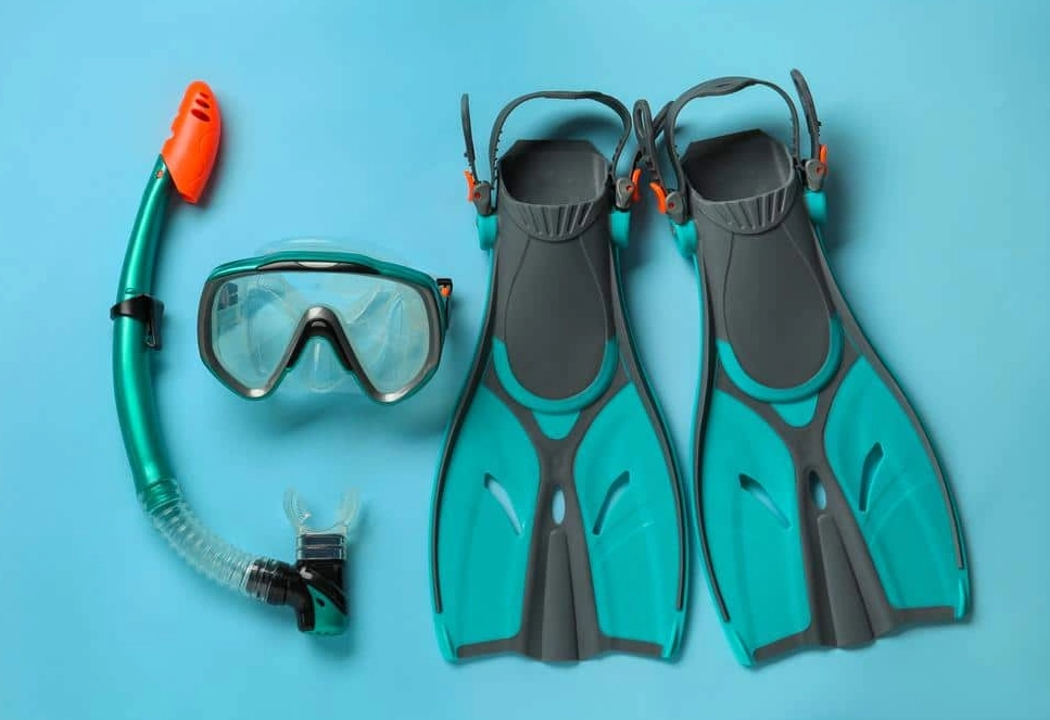underwater photography gear