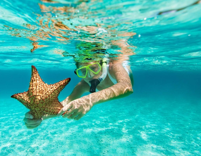 snorkeling gear for beginners