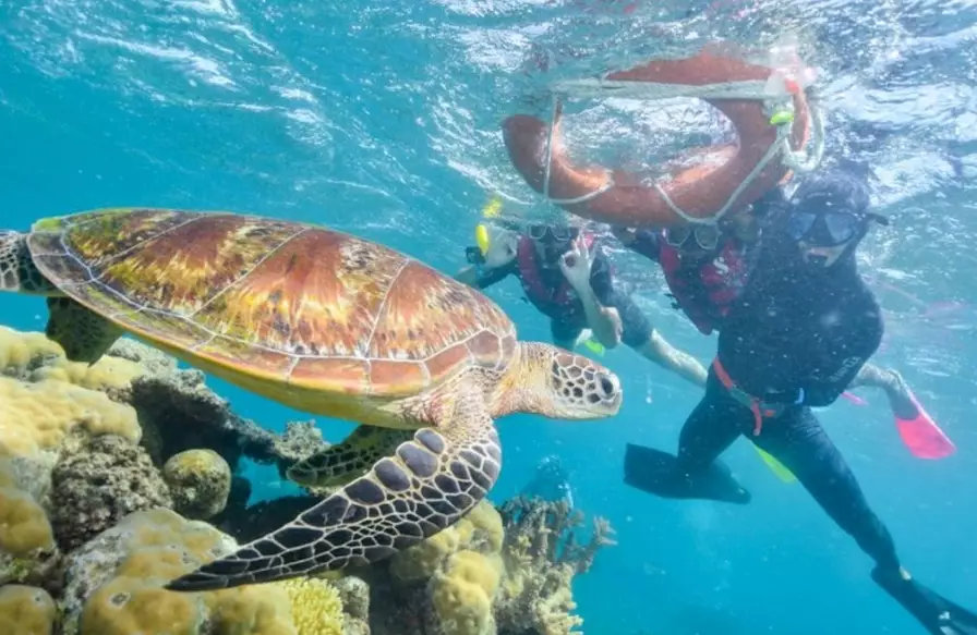 snorkeling gear for snorkel tours