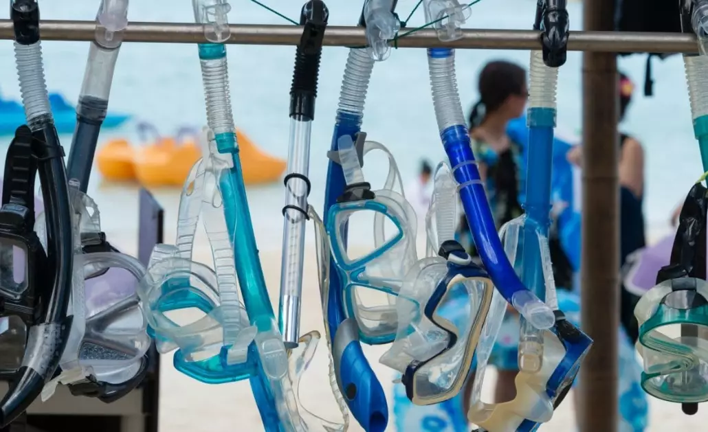snorkeling gear for marine life observation