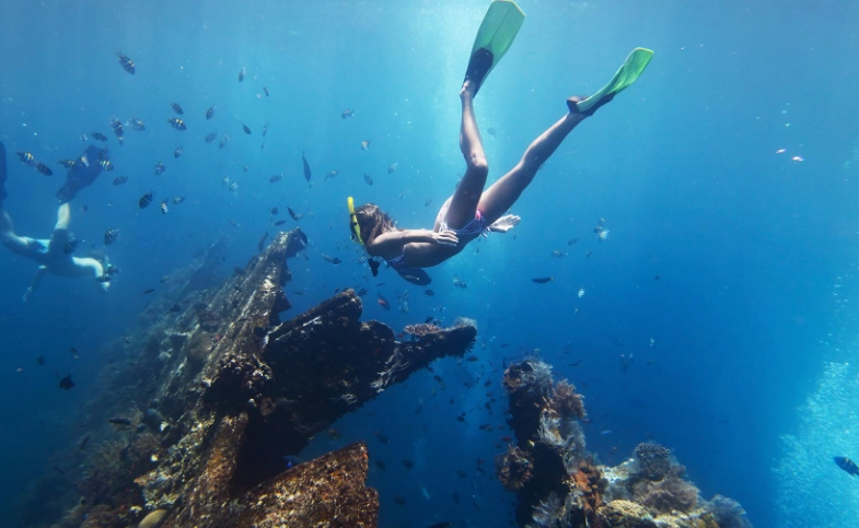 Snorkeling among Shipwrecks