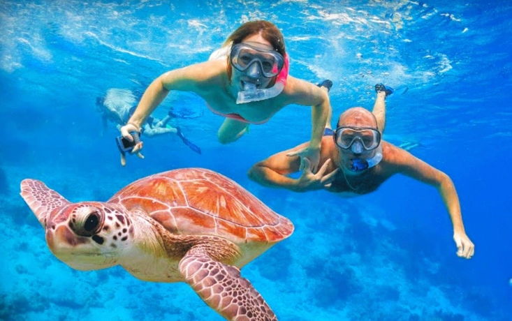 best snorkeling lagoons