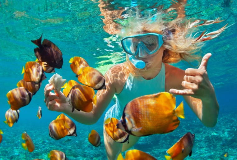 lagoon snorkeling for beginners