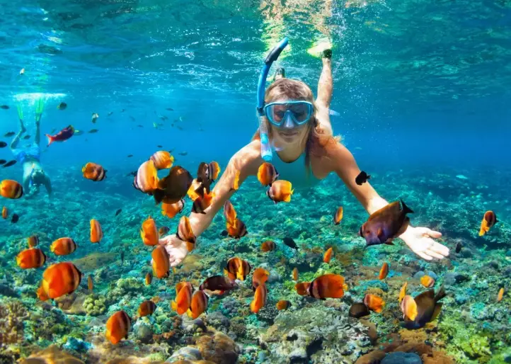 family snorkeling vacations