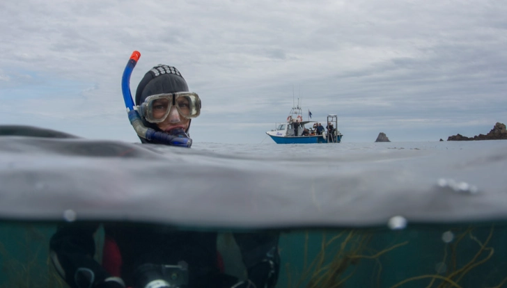 snorkeling in cold water