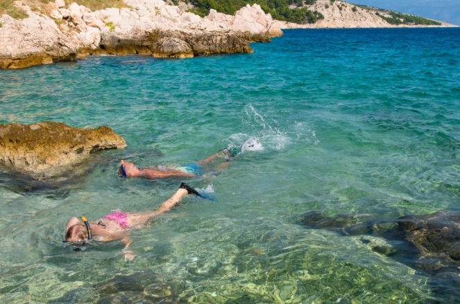 Rocky Shore Snorkeling