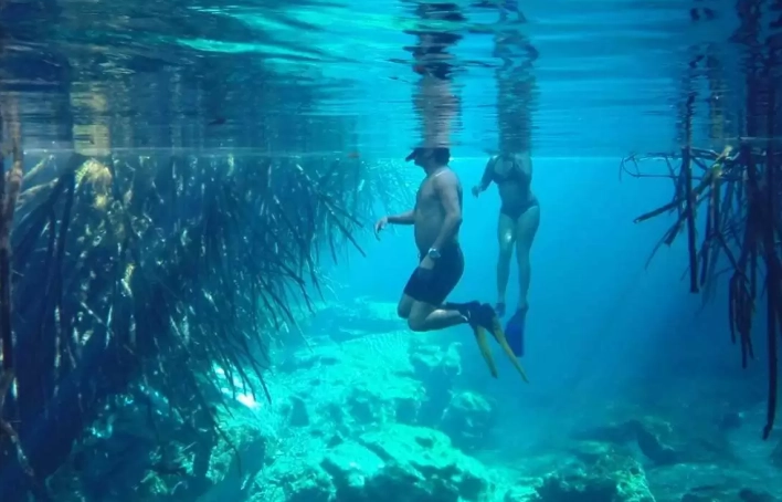 cenote snorkeling