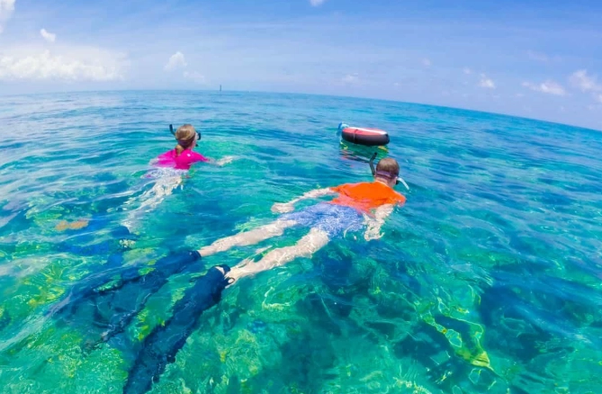 rocky shore snorkeling gear