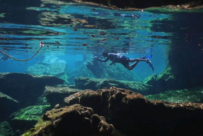 cenote snorkeling tours