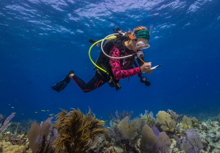 Snorkeling Conservation