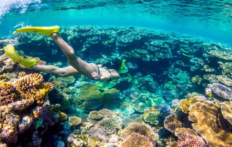 snorkeling safety tips snorkeling safety tips