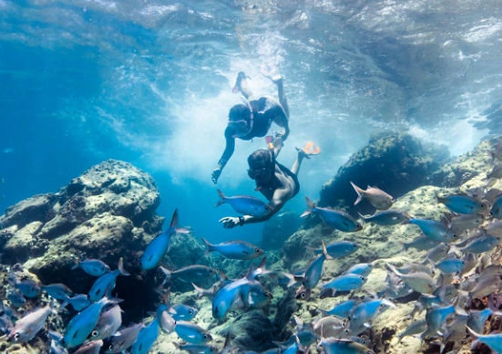 Eco-Friendly Snorkeling