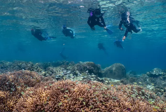 best snorkeling tours for groups