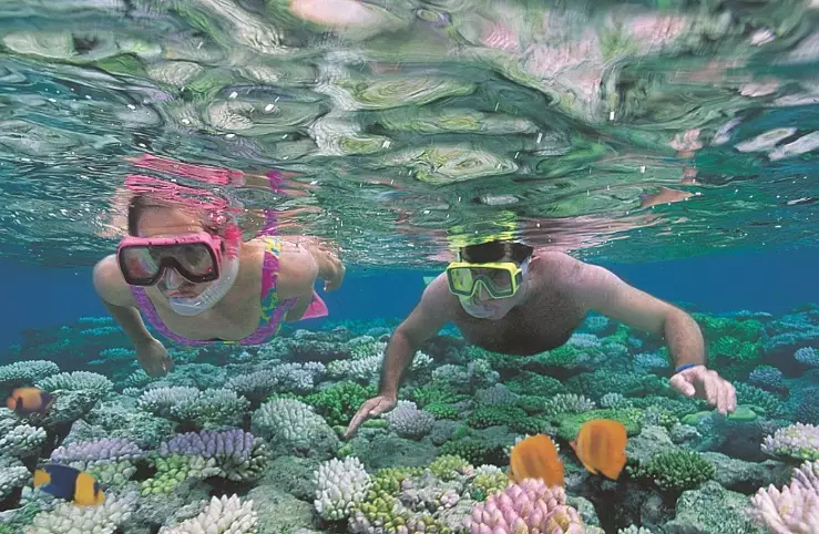 family snorkeling trips