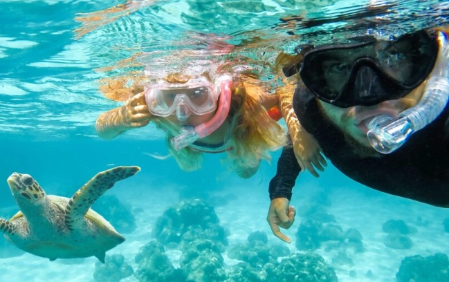 snorkeling gear essentials