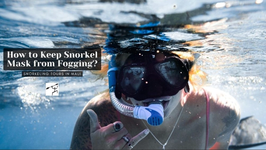 best anti-fog for snorkeling best anti-fog for snorkeling
