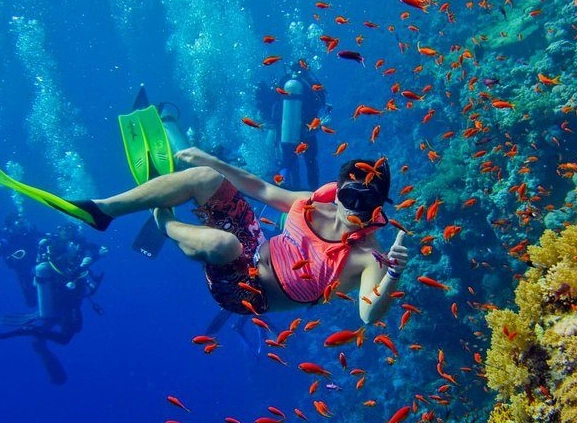 Snorkeling and Conservation