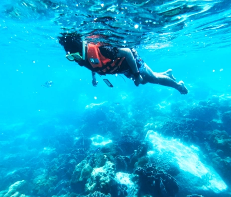 Snorkeling in Cold Water