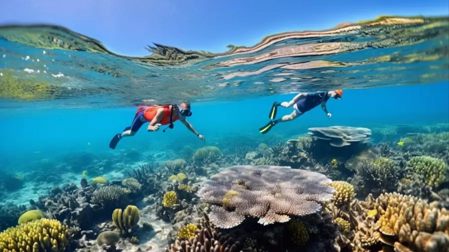 what to expect night snorkeling