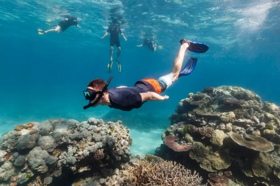snorkeling for beginners