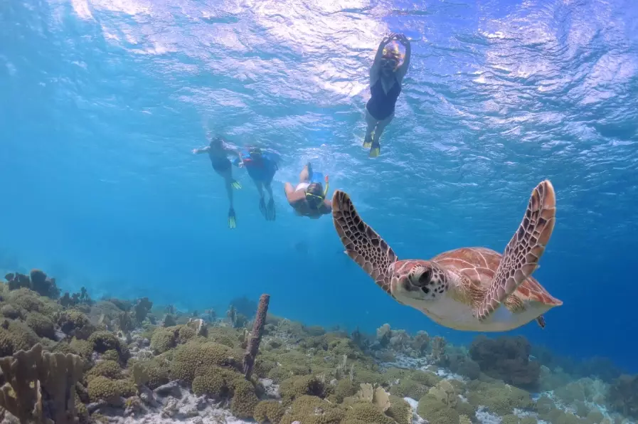 best snorkeling beaches