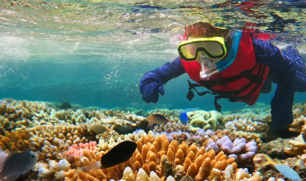 responsible snorkeling practices responsible snorkeling practices