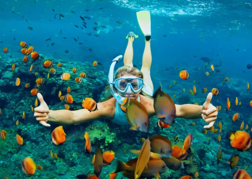 snorkeling tours