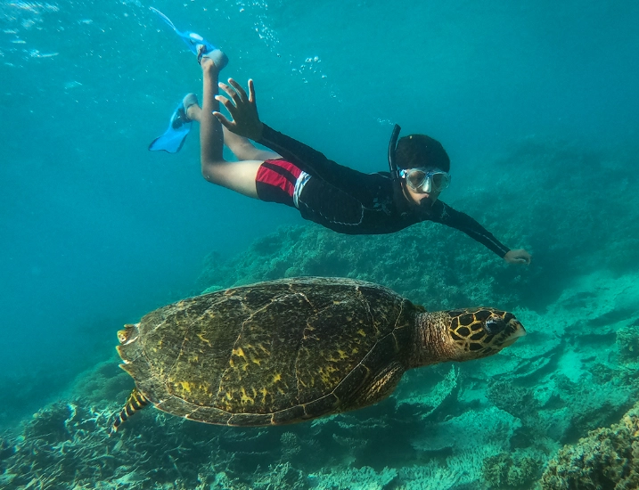 sustainable snorkeling sustainable snorkeling