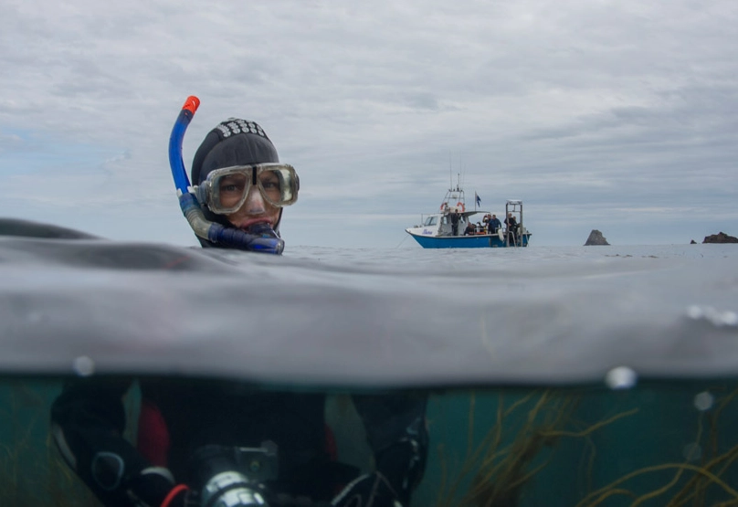 snorkeling in cold water snorkeling in cold water