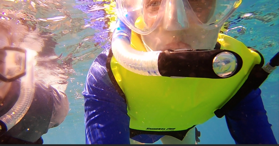 snorkeling safety vest snorkeling safety vest