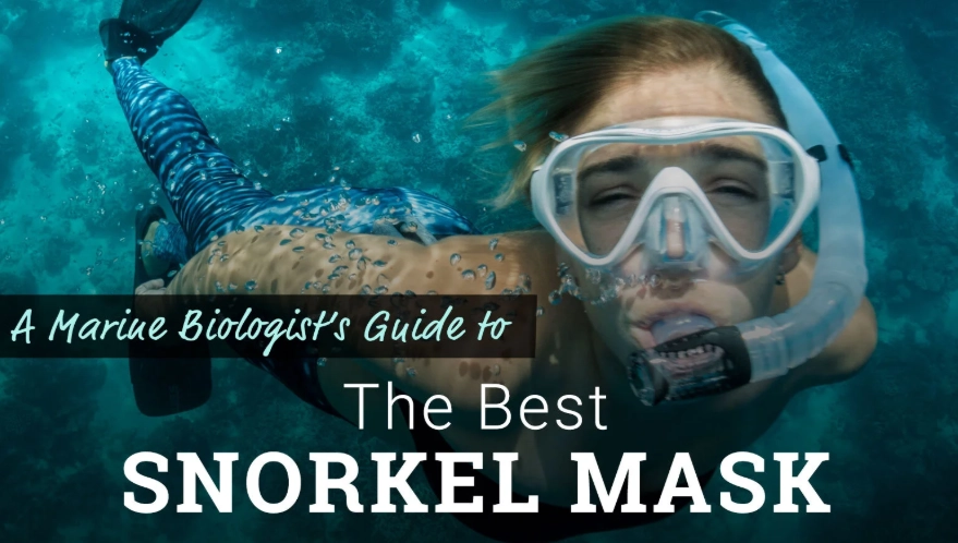 snorkeling mask types