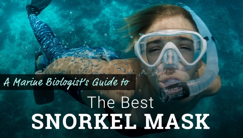 best full face snorkel mask