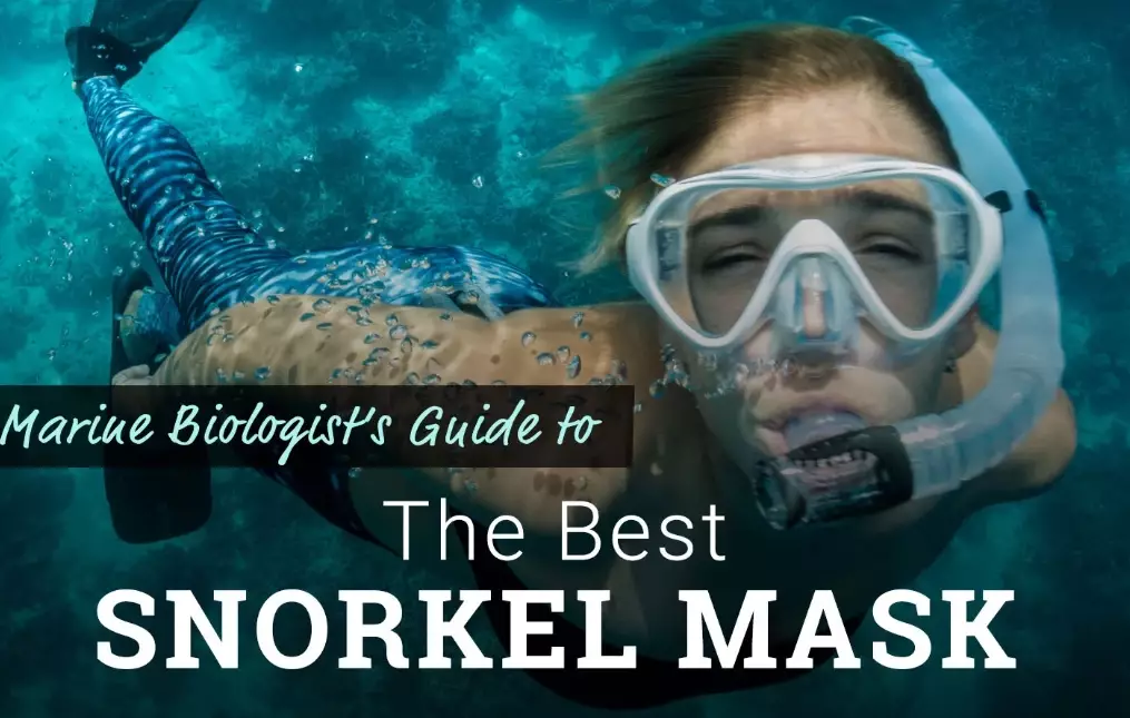 full face snorkel mask