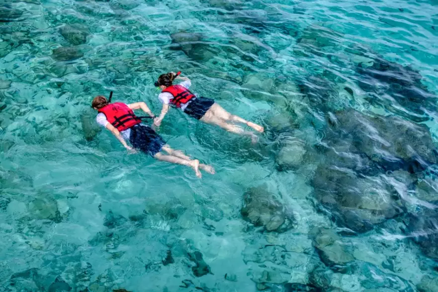 snorkeling vest snorkeling vest