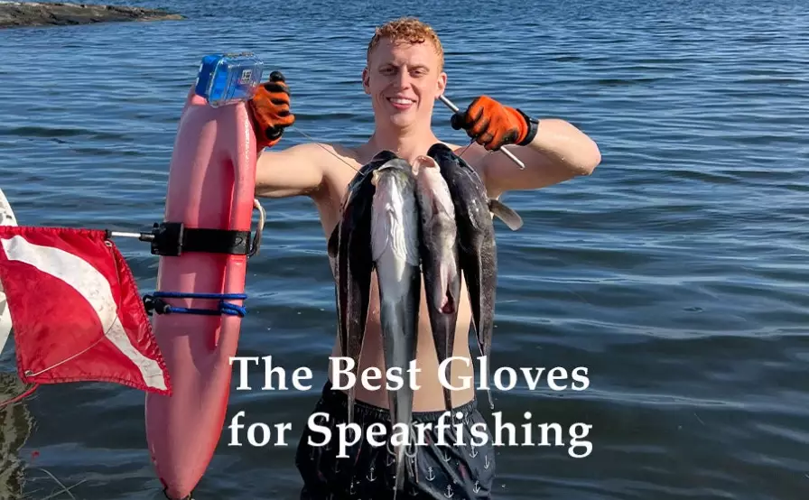 spearfishing gloves maintenance