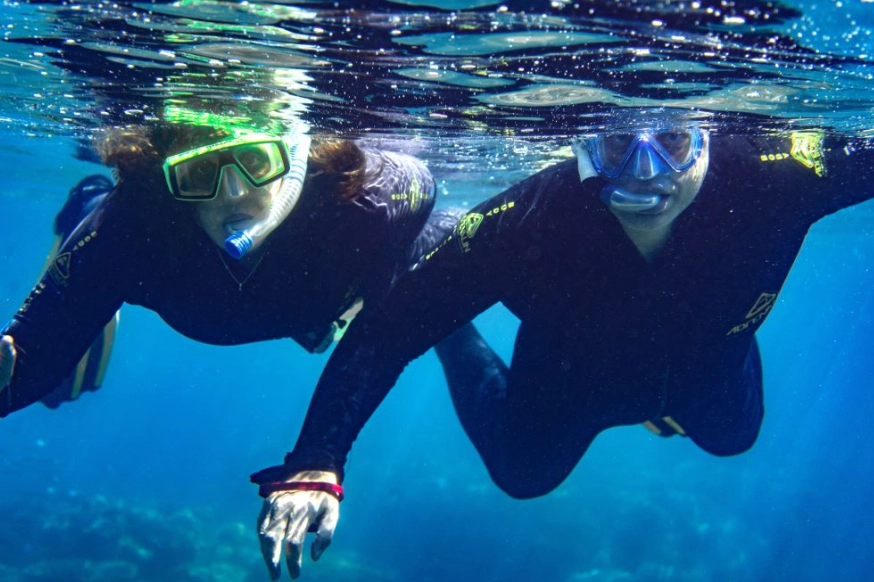 snorkel for beginners adults