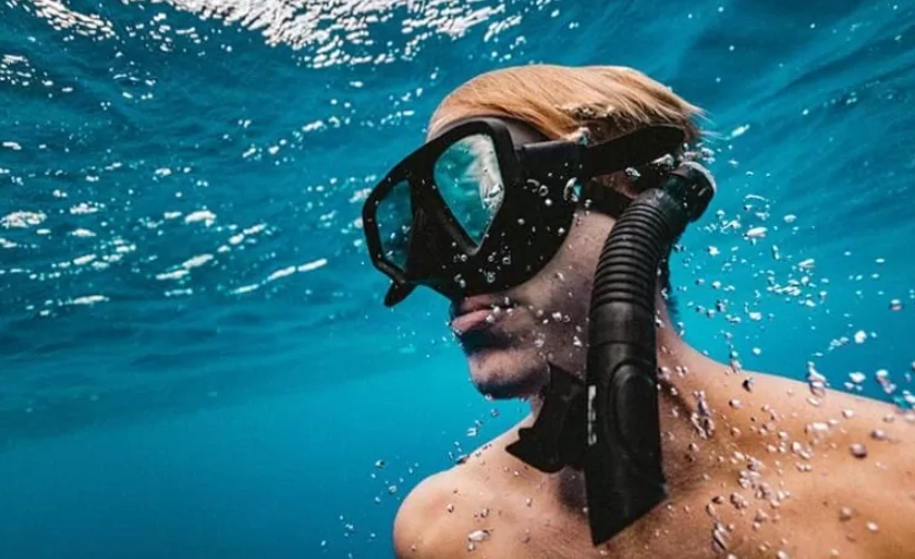 snorkel for beginners adults