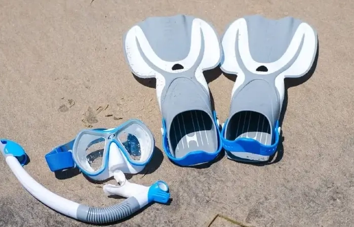 short fins vs long fins