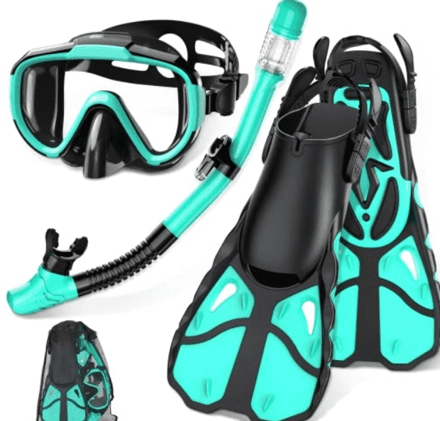 Best snorkeling gear for adults