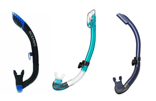 best snorkel for beginners