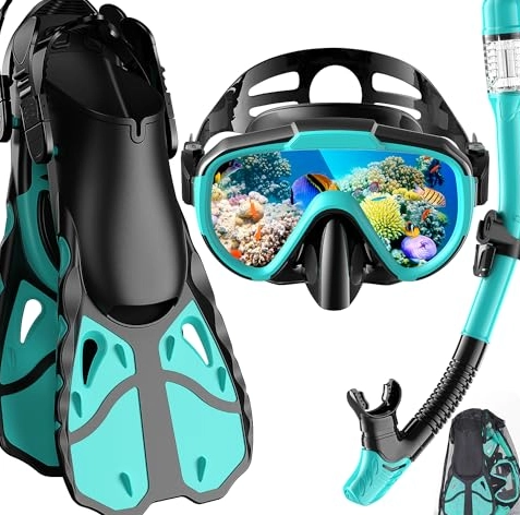 beginner snorkel gear