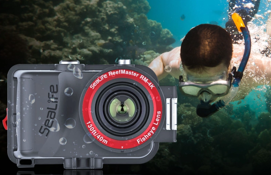 beginner snorkeling camera beginner snorkeling camera